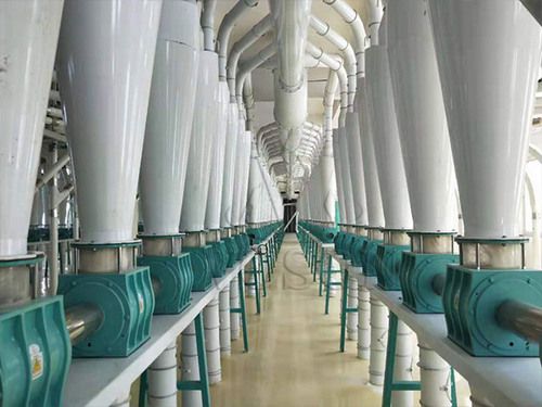 Fábrica de moagem de farinha de 1000t-transporte