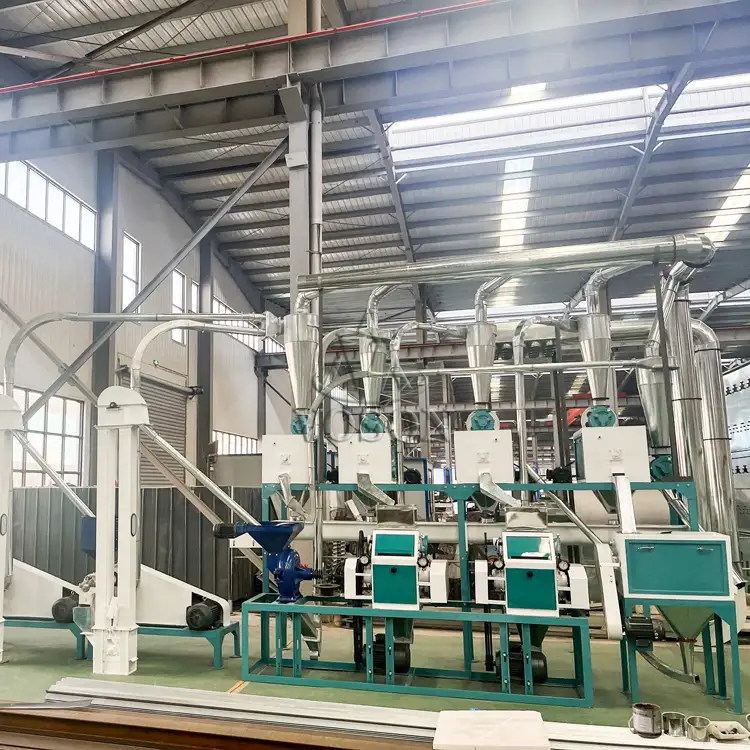 compact corn flour production line Africa

